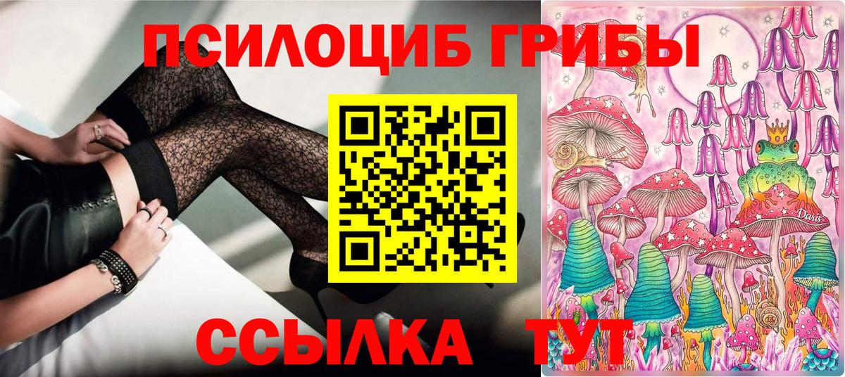 Псилоцибиновые грибы Psilocybe  Вход с VPN  Ленинск-Кузнецкий 